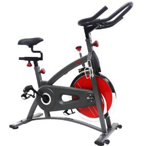 sunny health and fitness sf-b1423 - indoor cycling bike